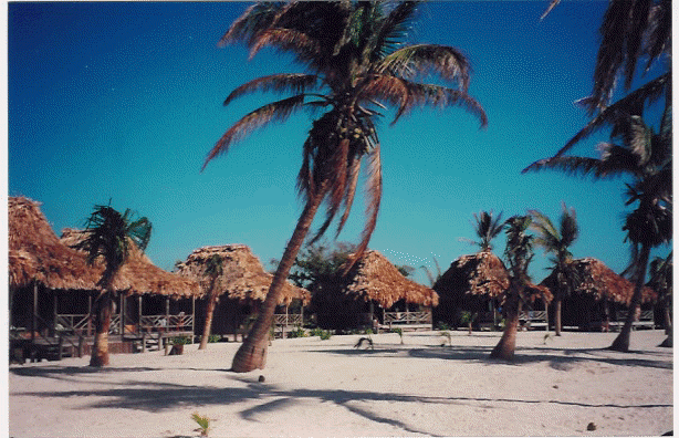 belize1.gif (144094 bytes)