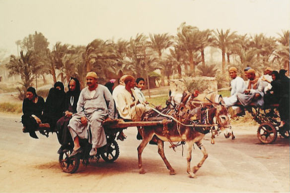 egypt5.jpg (52502 bytes)